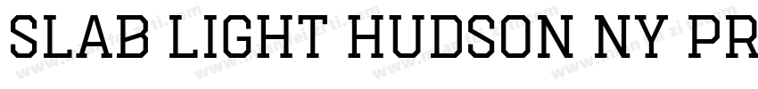 Slab Light Hudson NY Pro字体转换